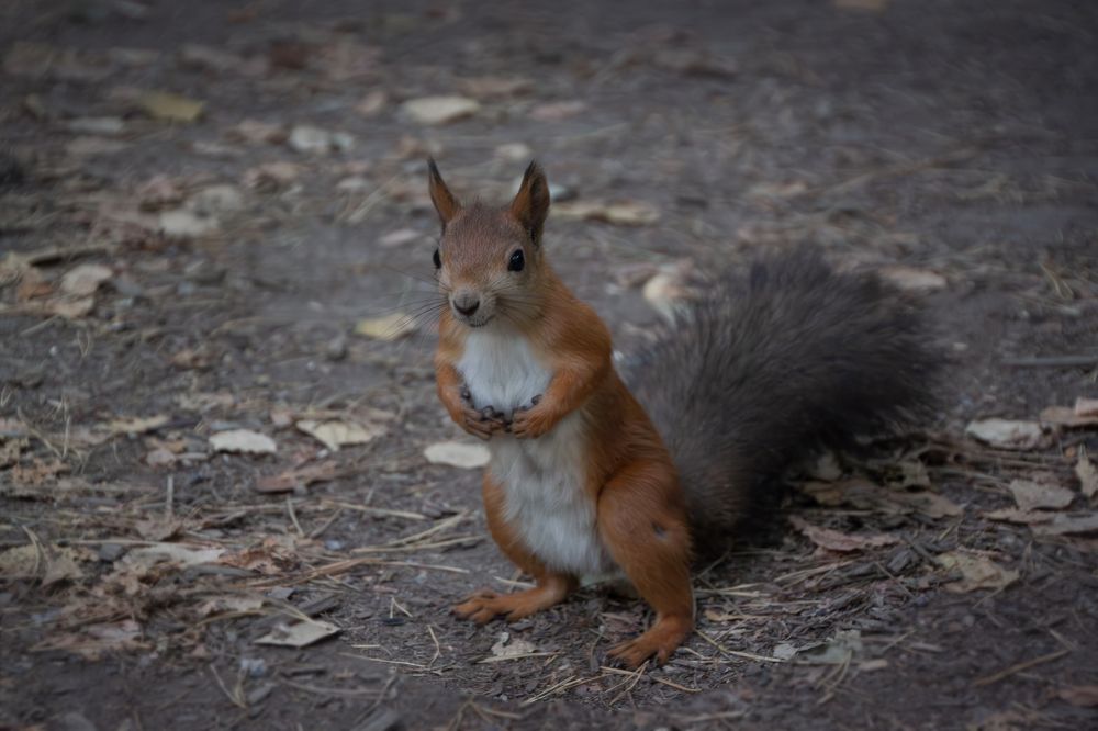 Photograph by Елена Иванова