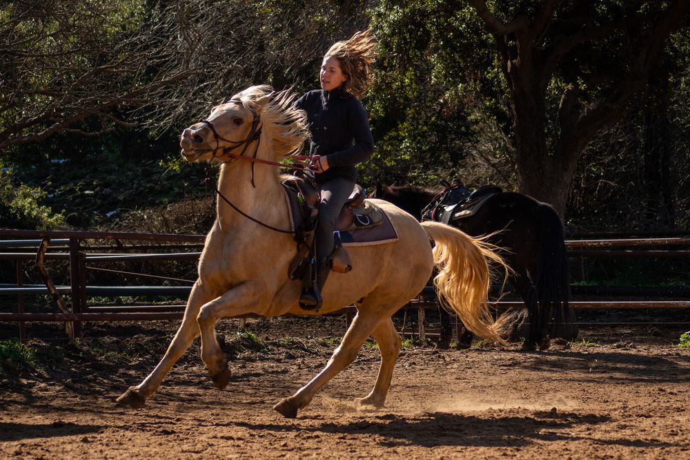 Photograph by esti lahat