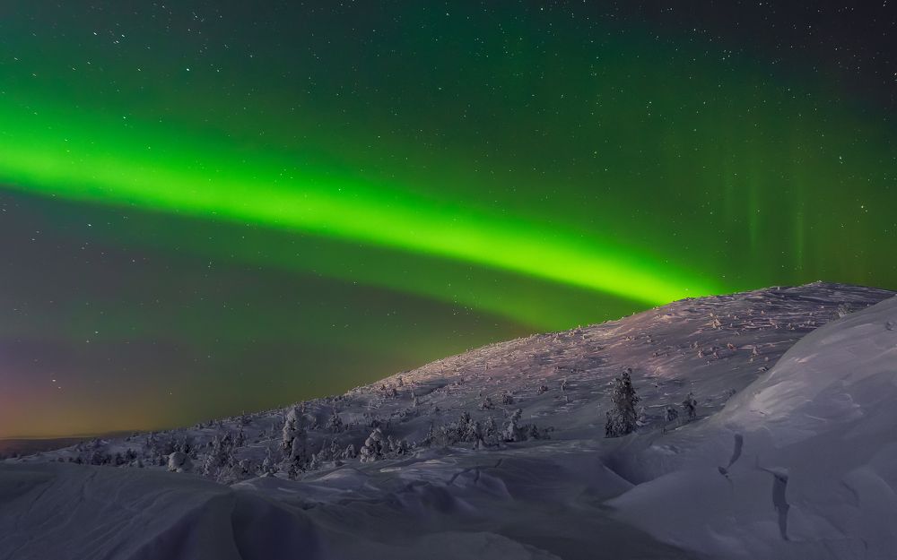 Фотография автора Мика Петров