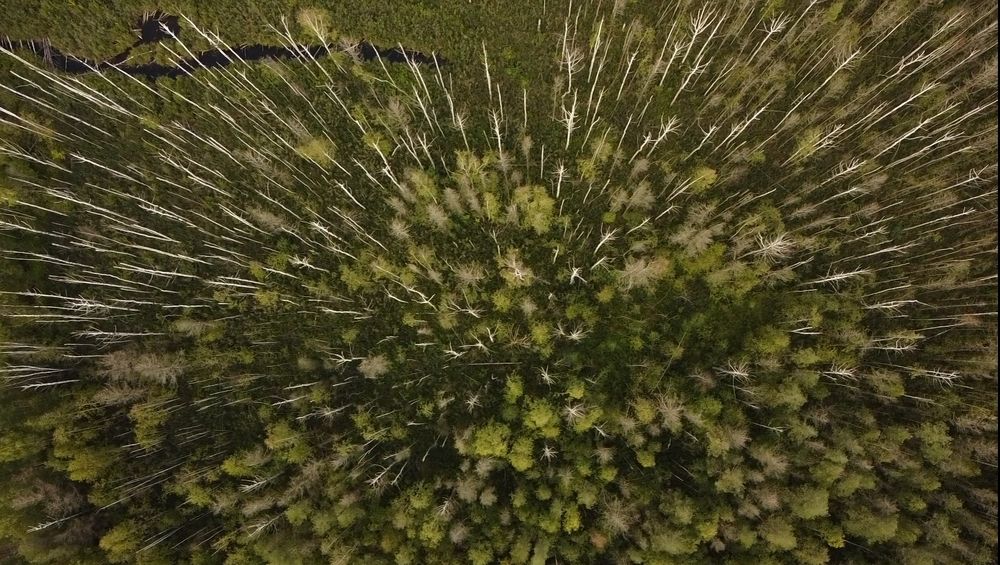 Photograph by Александр