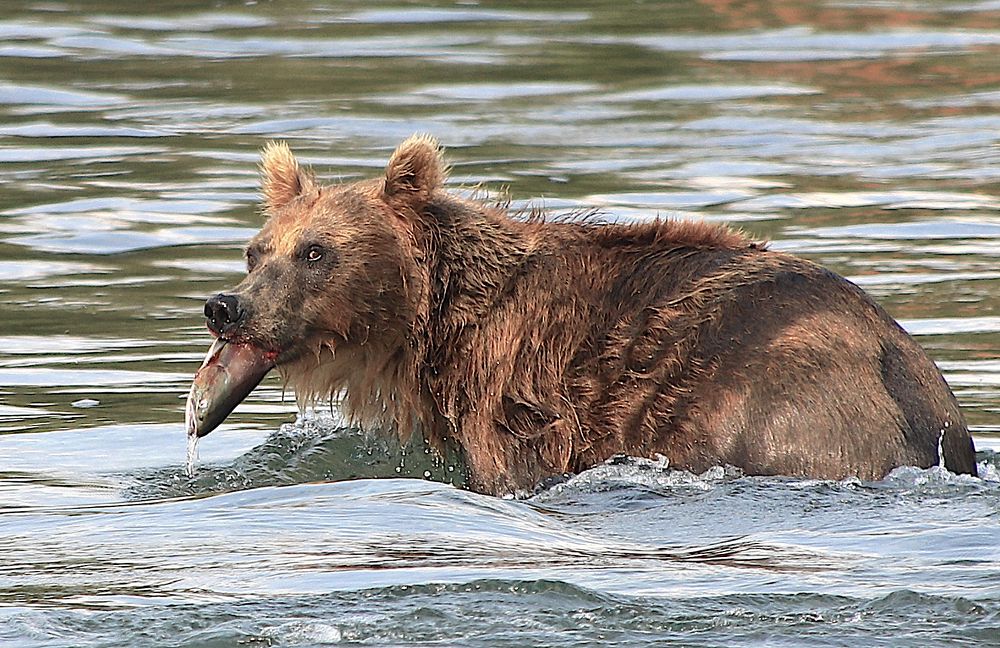 Photograph by Leonid Golubkov