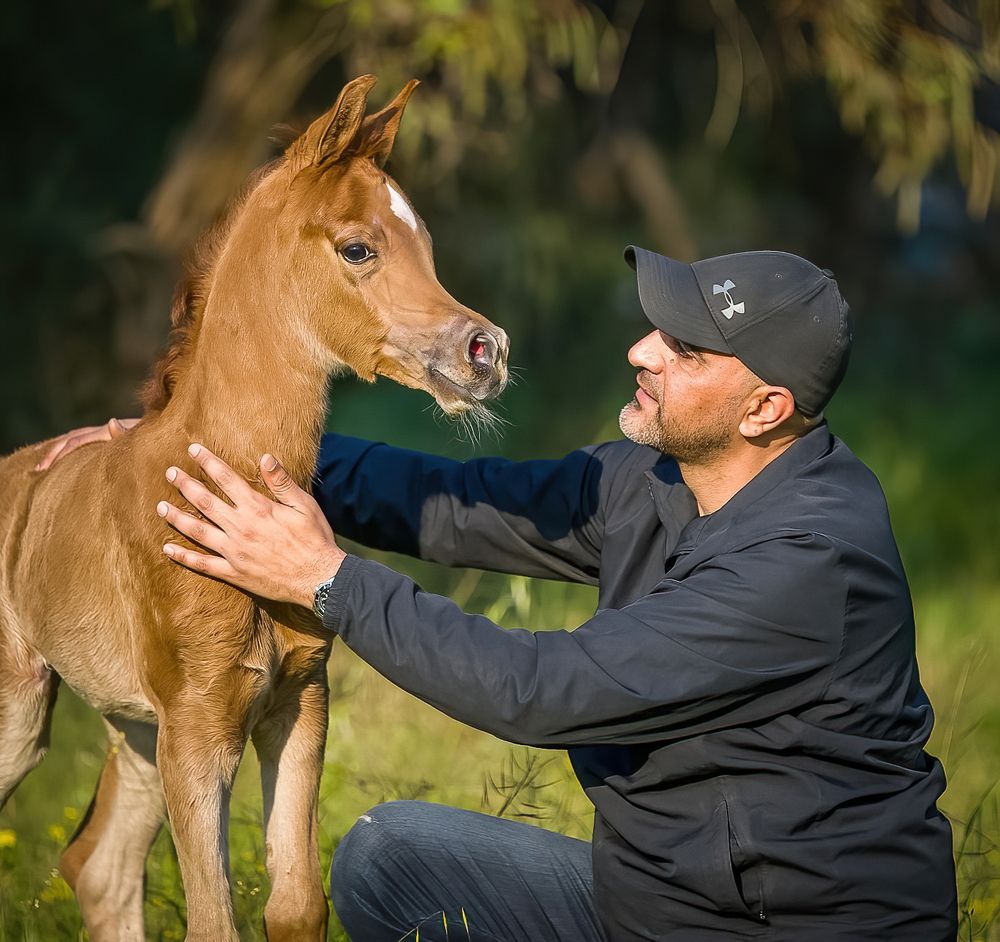 Фотография автора Mohammed sajd Abo ganem