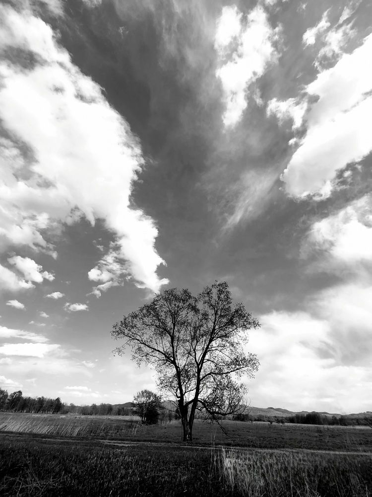 Photograph by Татьяна Бухтиярова