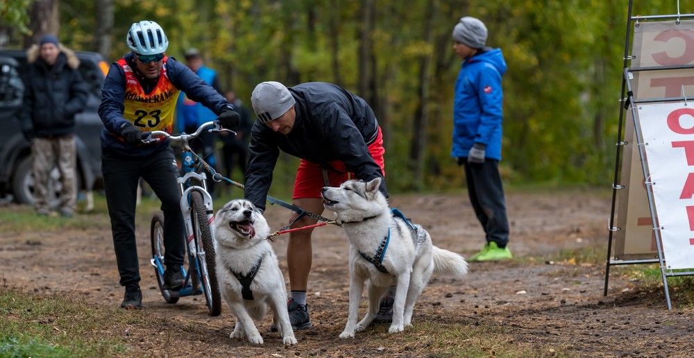 Photograph by Ольга Ченцова