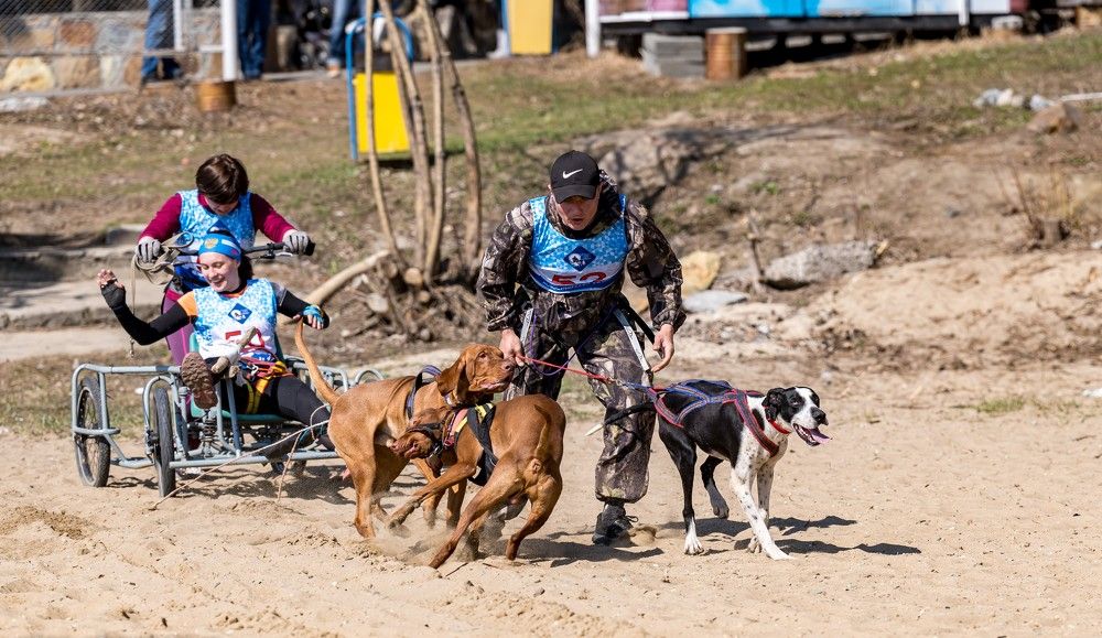 Photograph by Ольга Ченцова