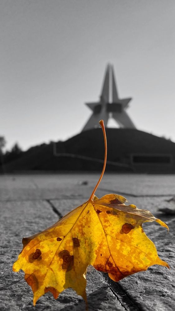 Photograph by Фисун Евгений