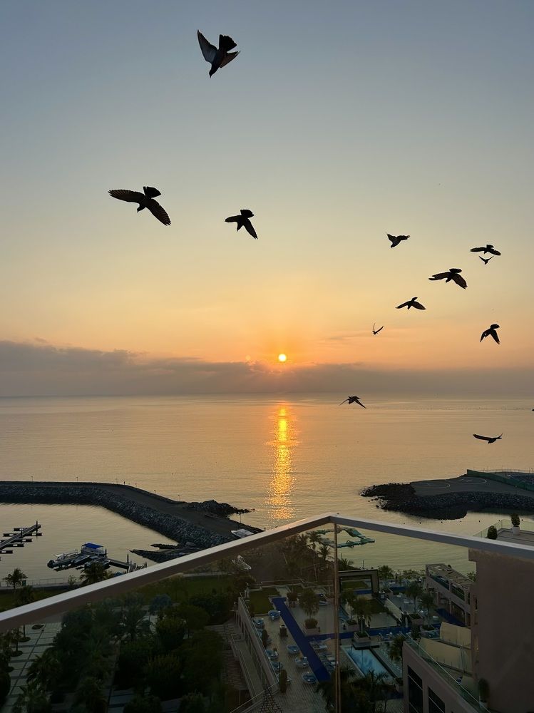 Восход Солнца.