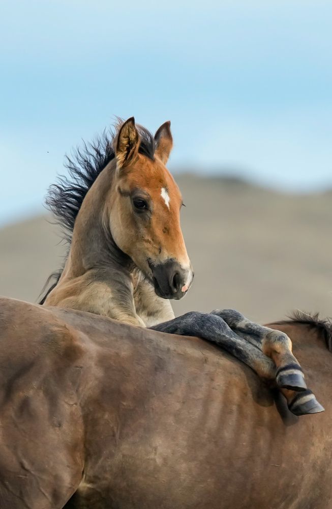 Photograph by Труханов Илья