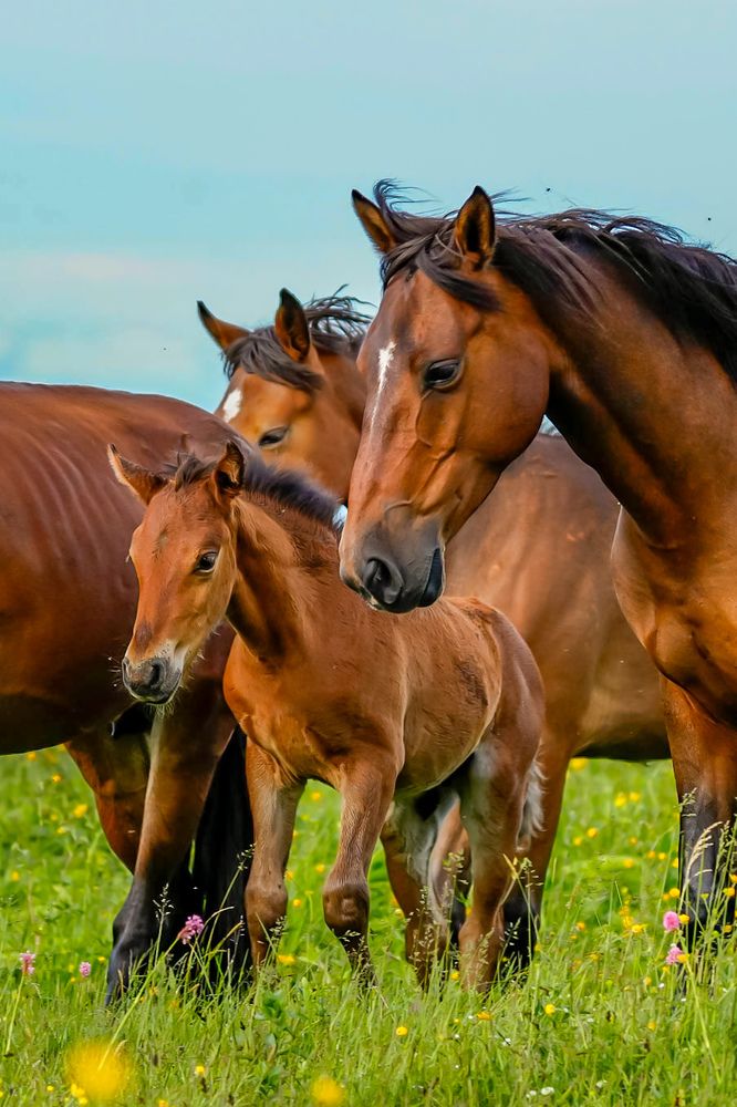 Photograph by Труханов Илья