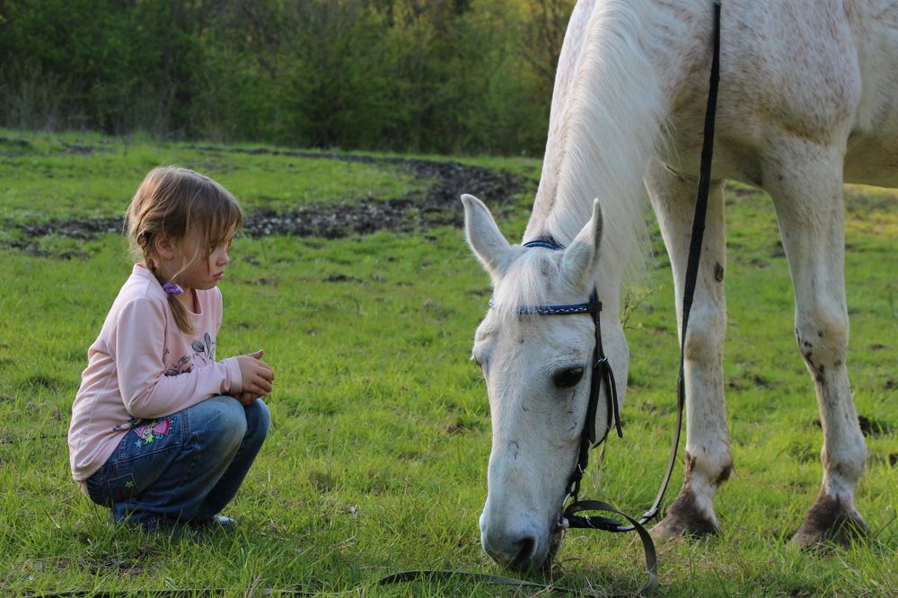 Photograph by Анастасия Бреева