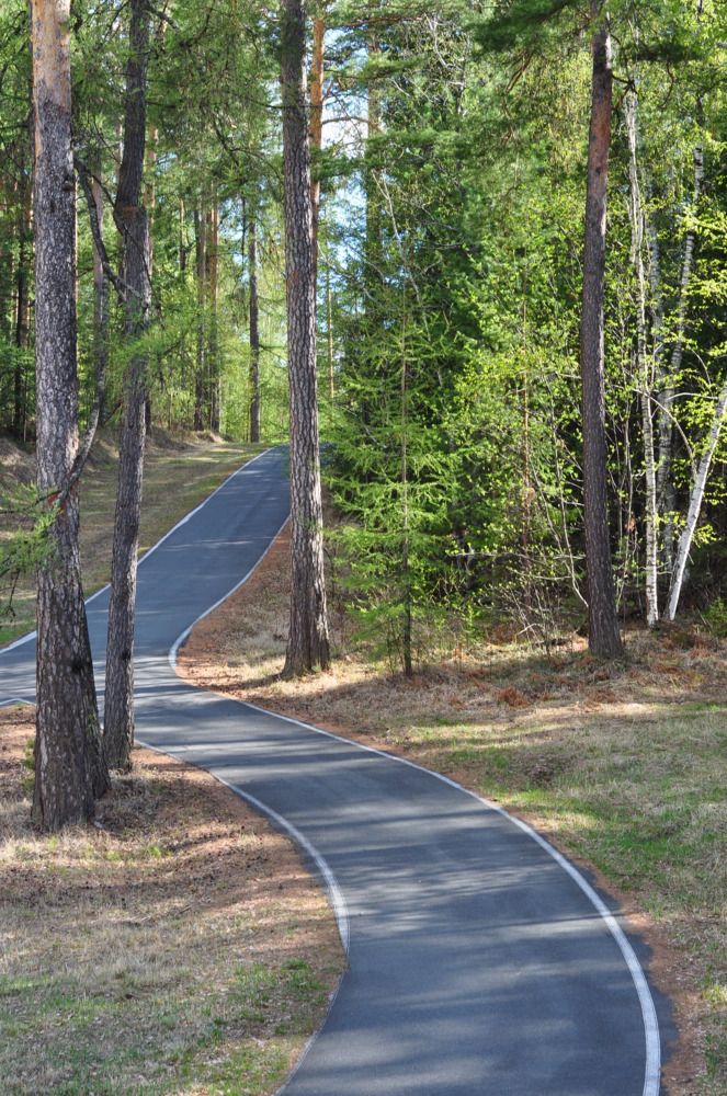 Сквозь леса лежит дороги полоса