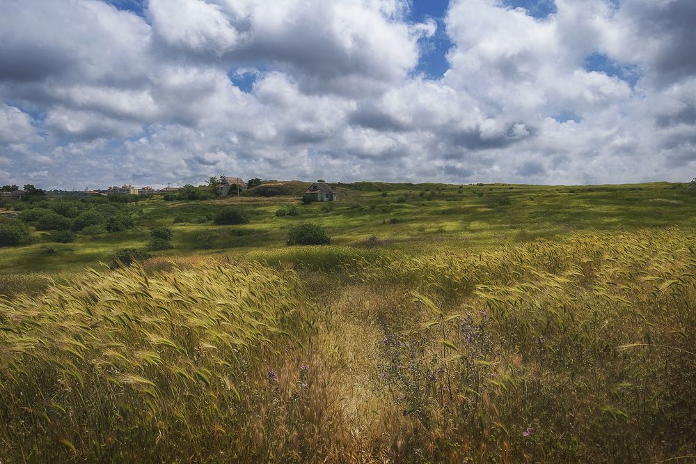 Photograph by Елена Ворошина