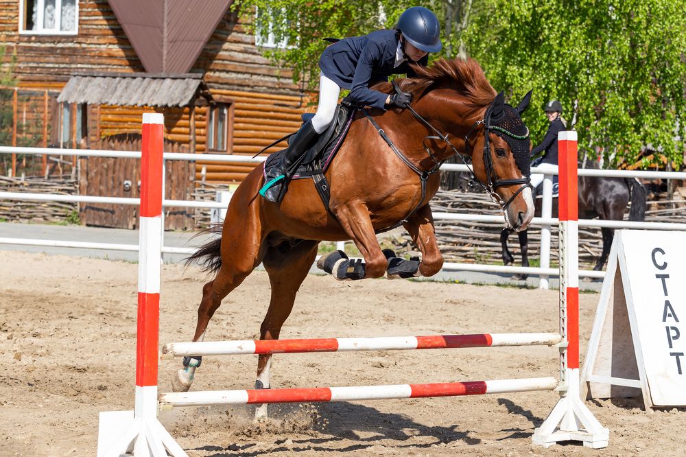 Photograph by Евгений Смирнов