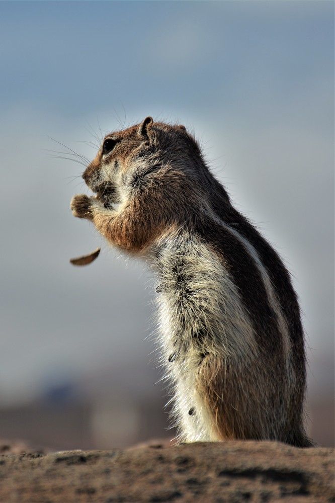 Фотография автора Linards Onzuls