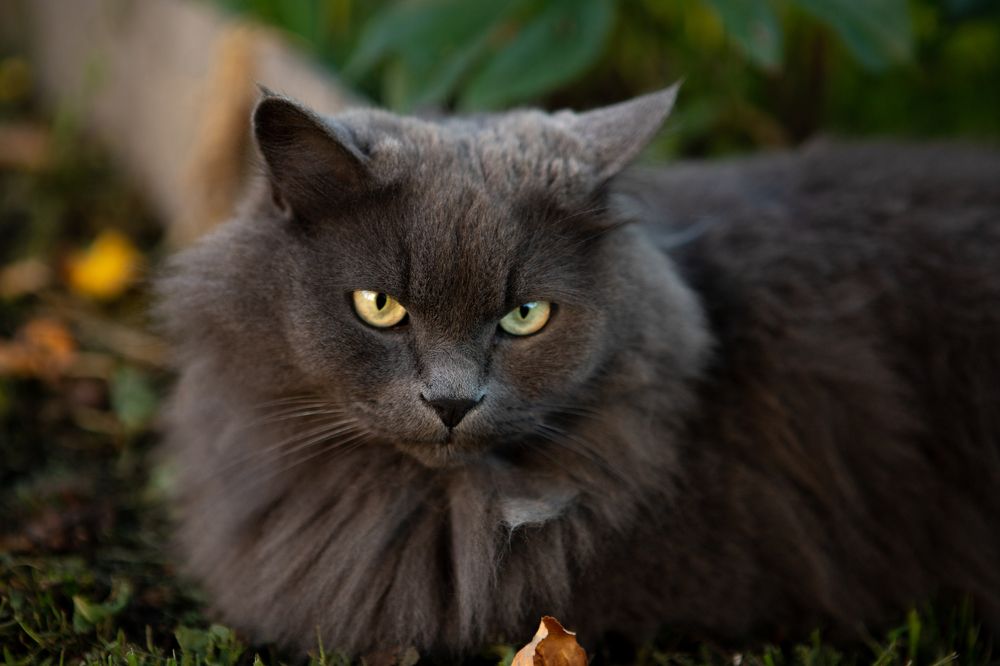 Photograph by Елена Коновницына