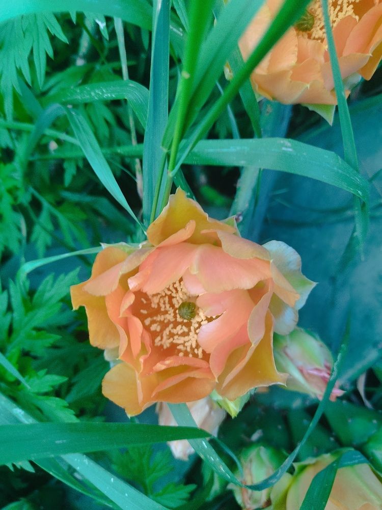 Photograph by Наталья Билай