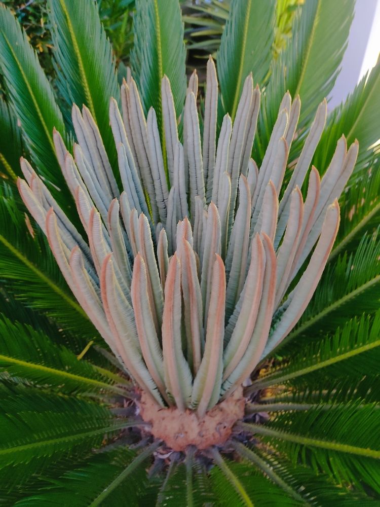 Photograph by Наталья Билай