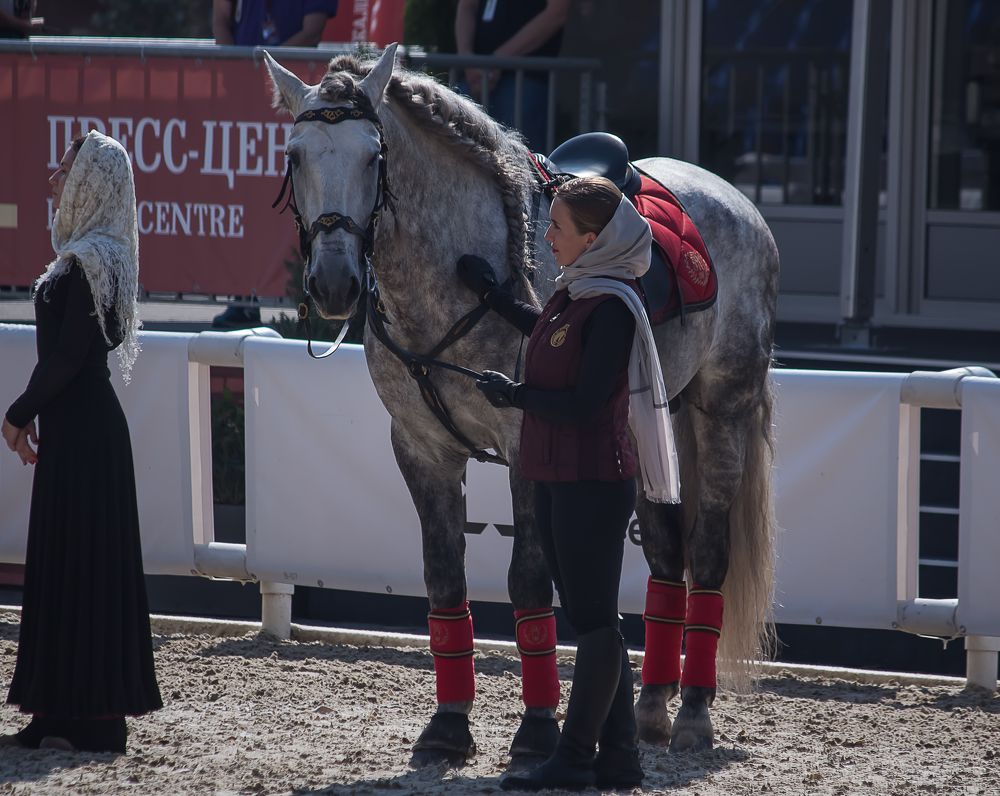 Photograph by Елена Шахова