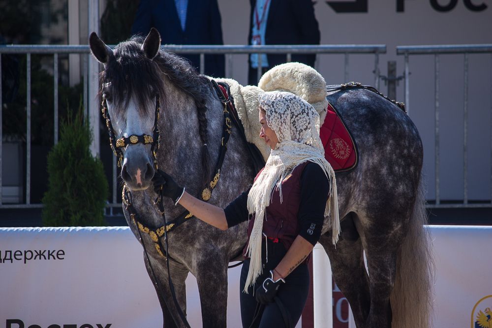 Photograph by Елена Шахова