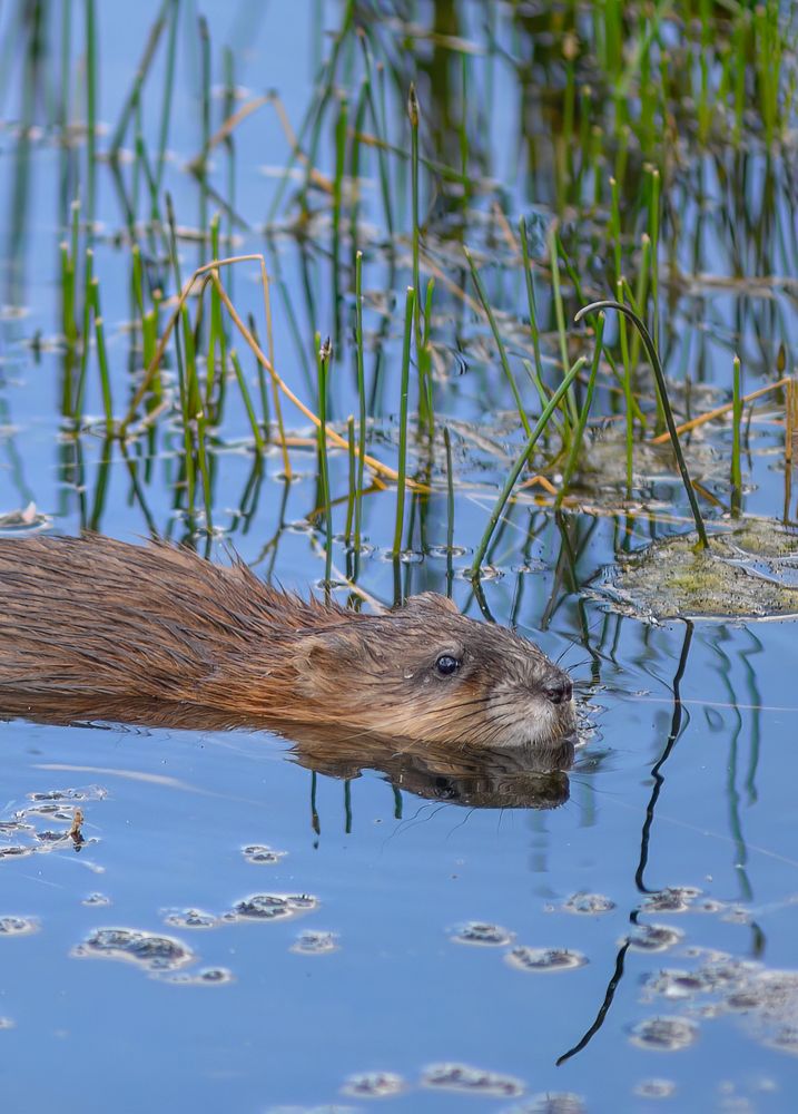 Photograph by Наталья Кучеренко