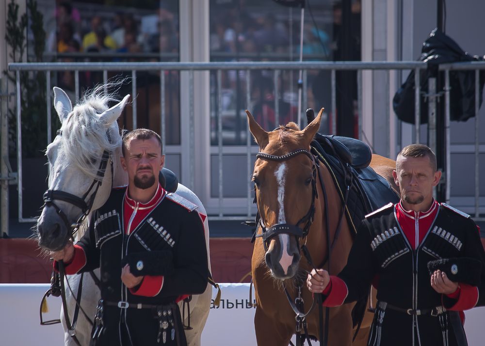 Photograph by Елена Шахова