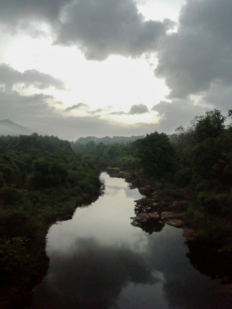 Photo #9962903