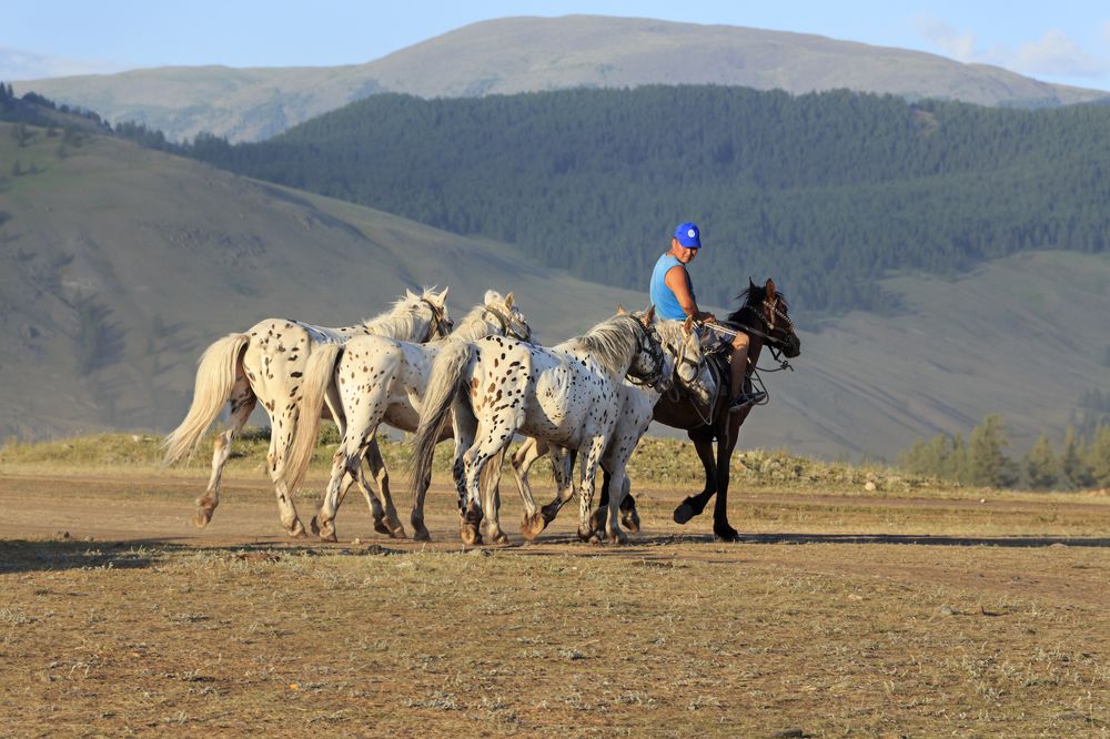 Photograph by виктор ковчин