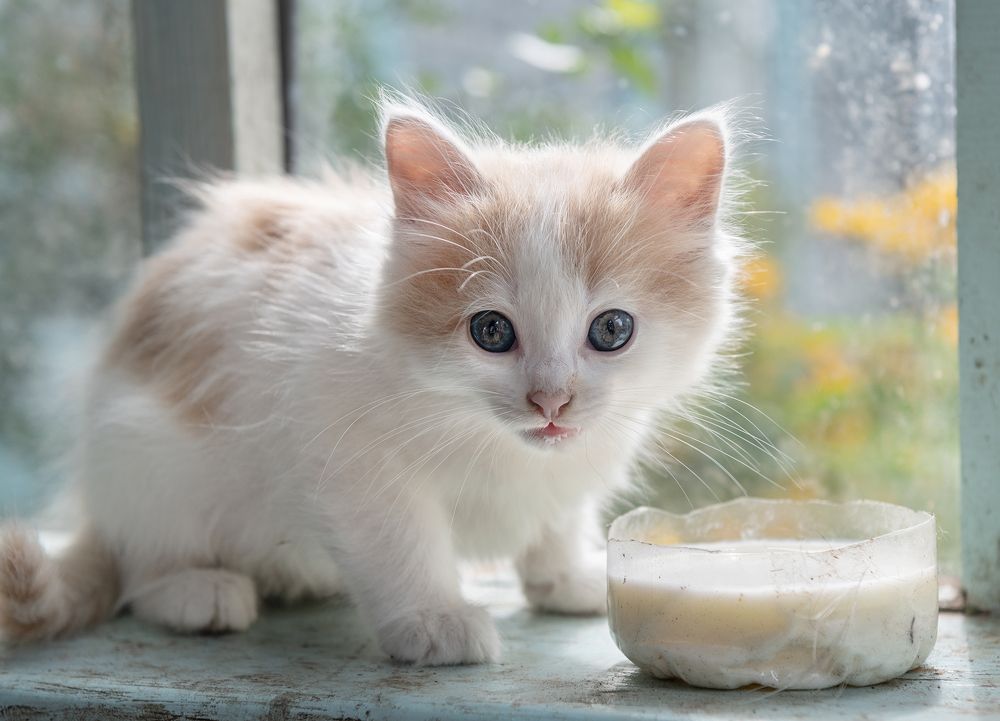 Photograph by Артём Гладченко