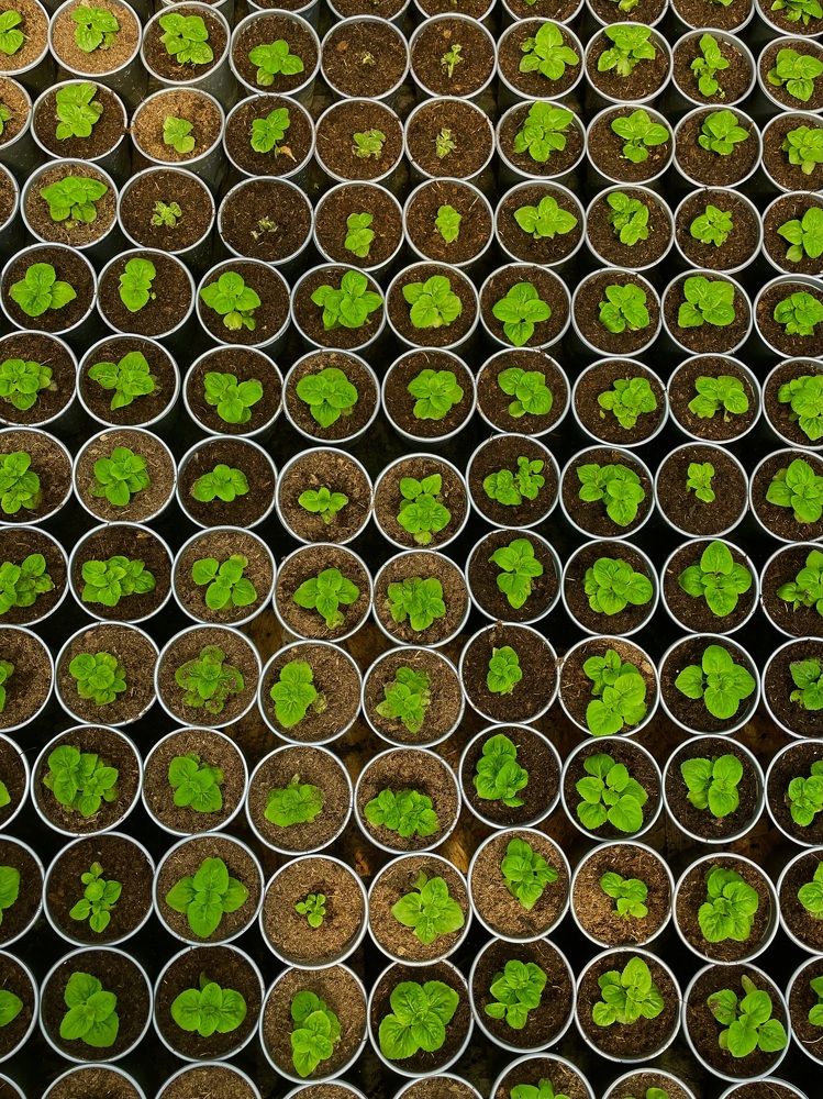 Photograph by Мария Нанарова