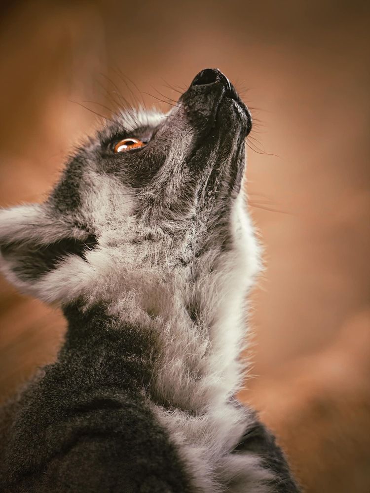 Photograph by Lee Yao Fui