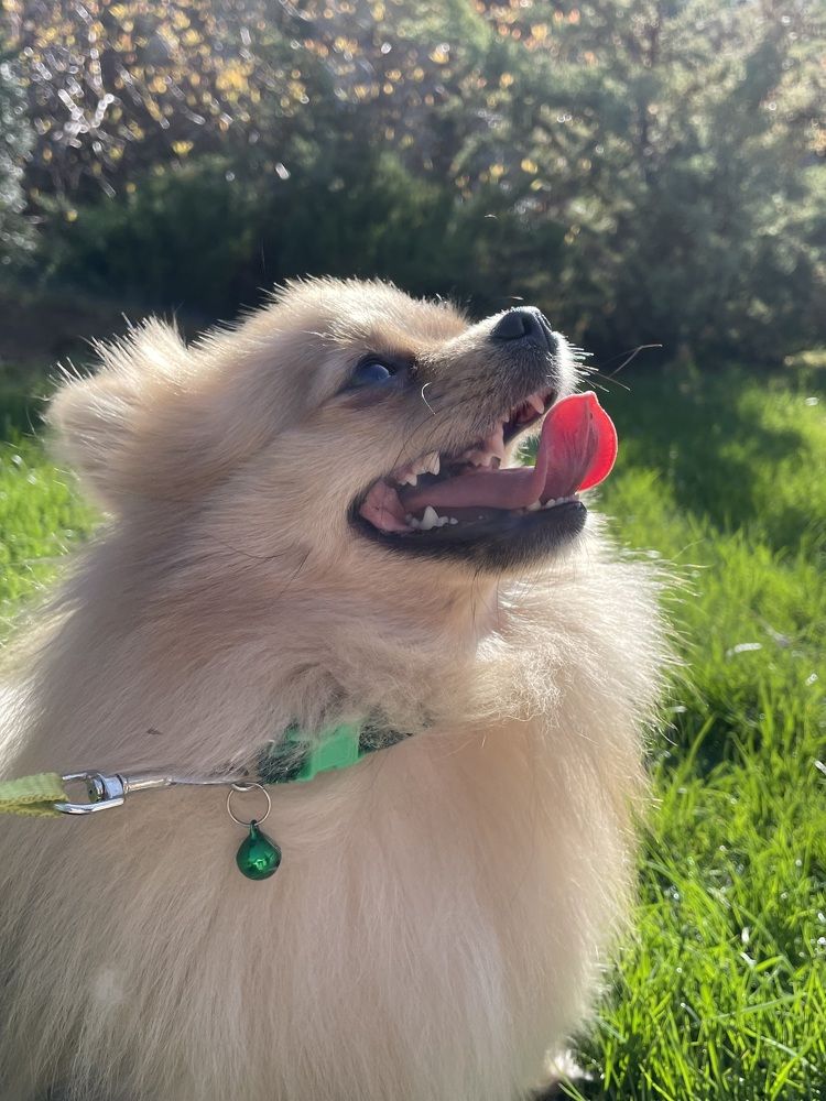 Photograph by Мария Нанарова