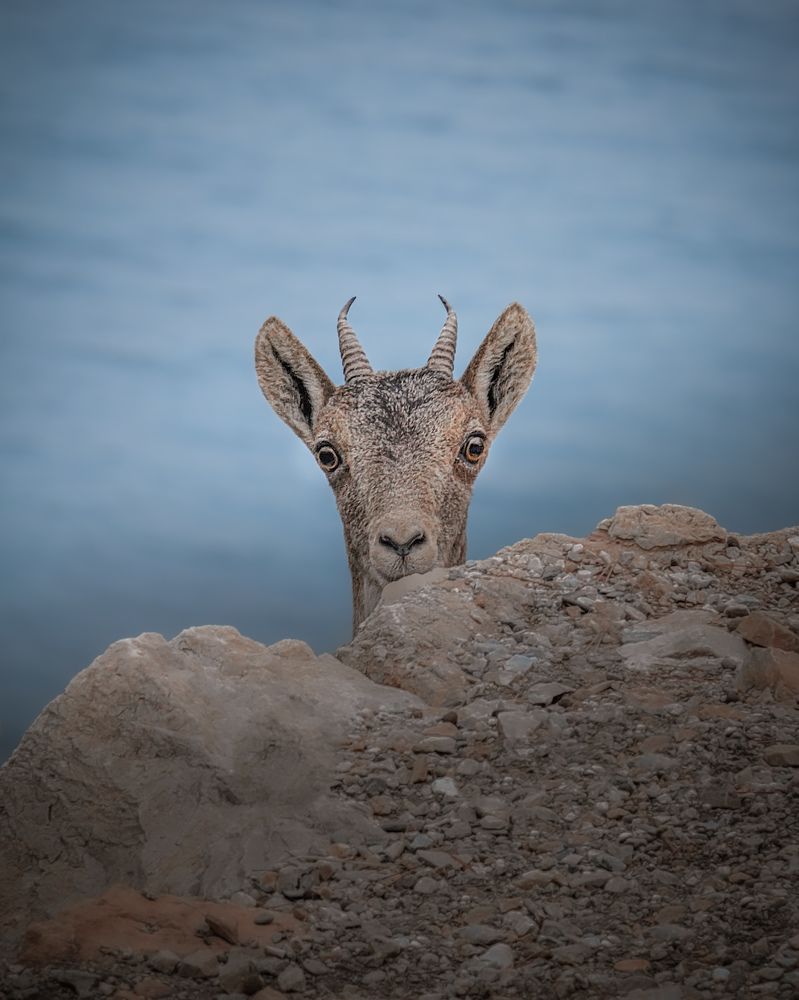 Photograph by Evgeny Pochaev