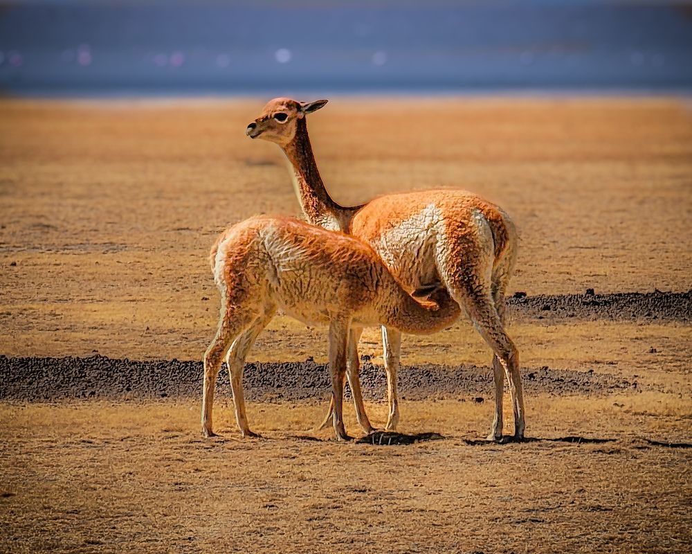 Photograph by Evgeny Pochaev