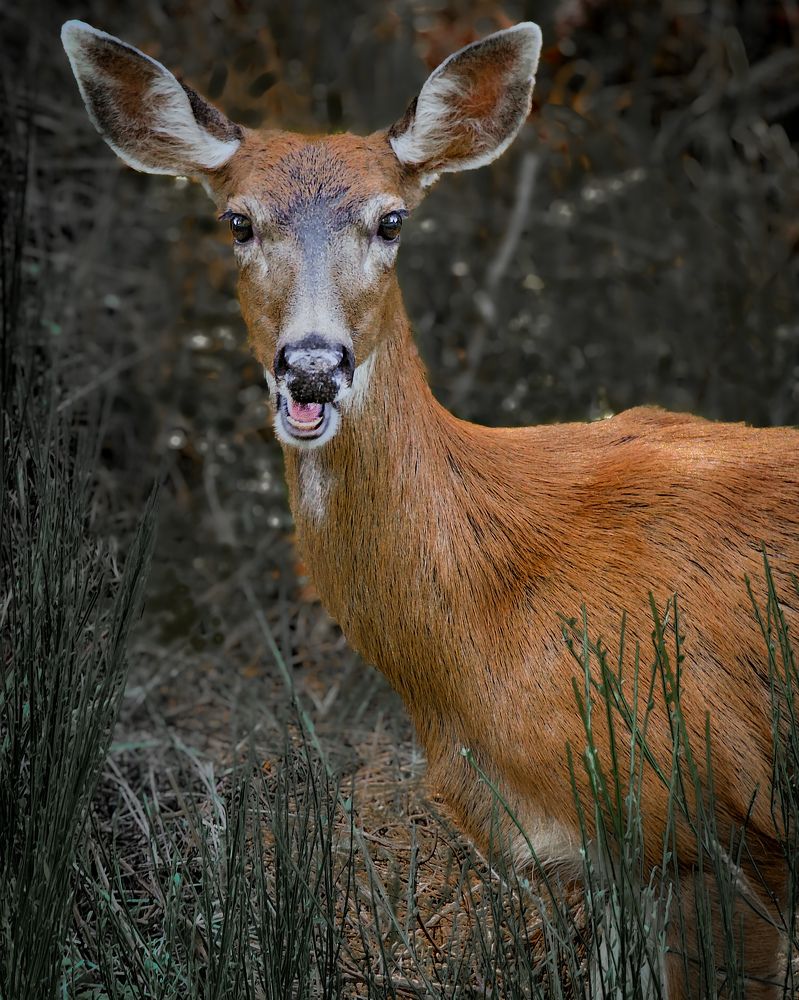 Photograph by Evgeny Pochaev