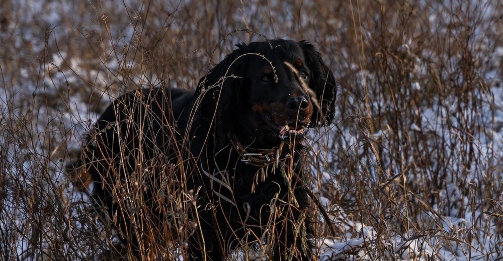 Photograph by Ольга Ченцова