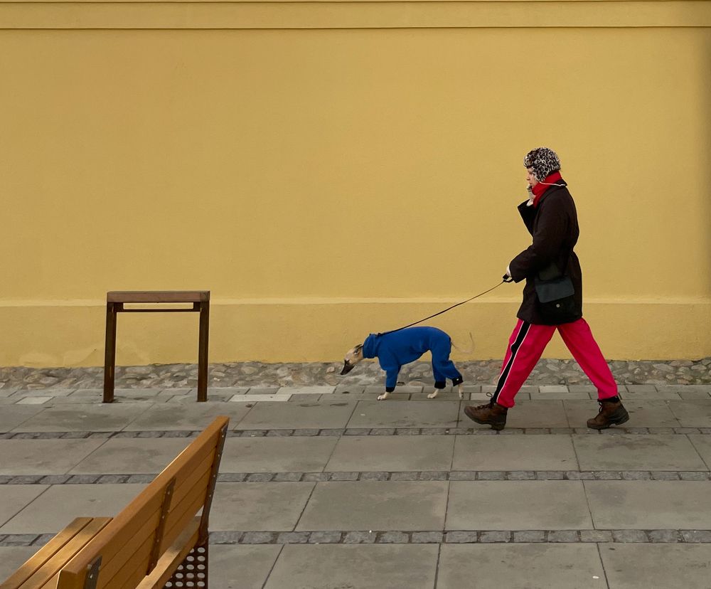 Фотография автора Yaroslav Pozdnyakov