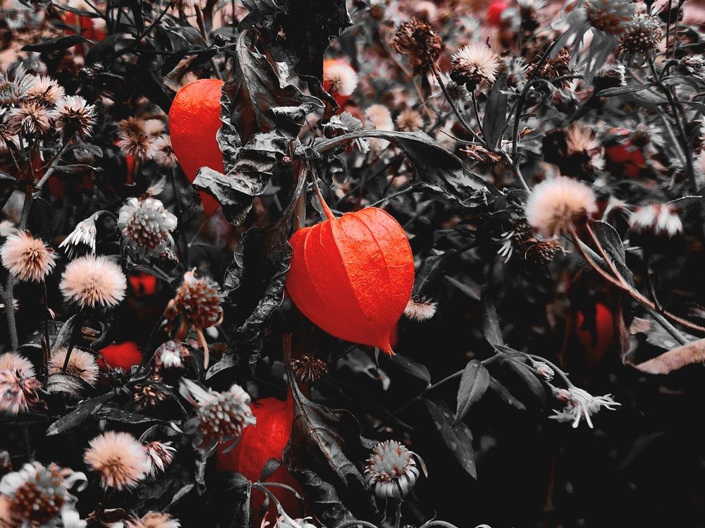 Photograph by Анна