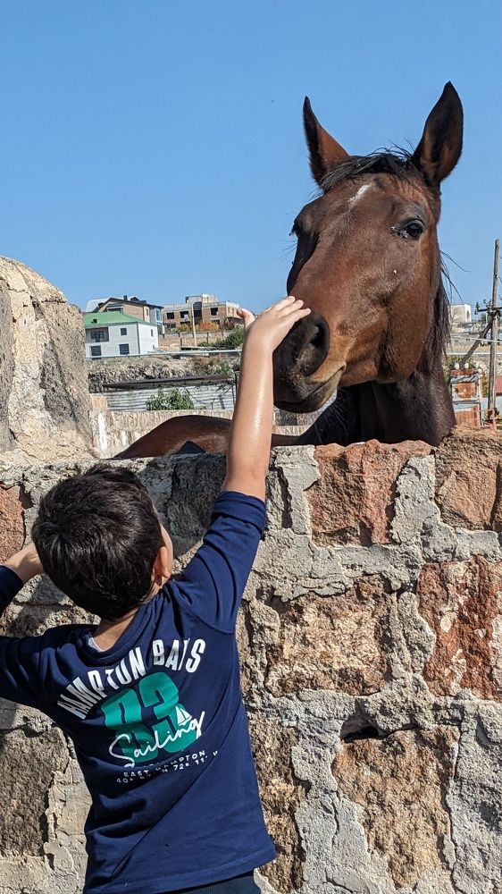 Photograph by Lilit Petrosyan