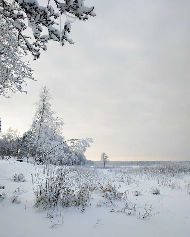Photograph by Светлана Белозерова