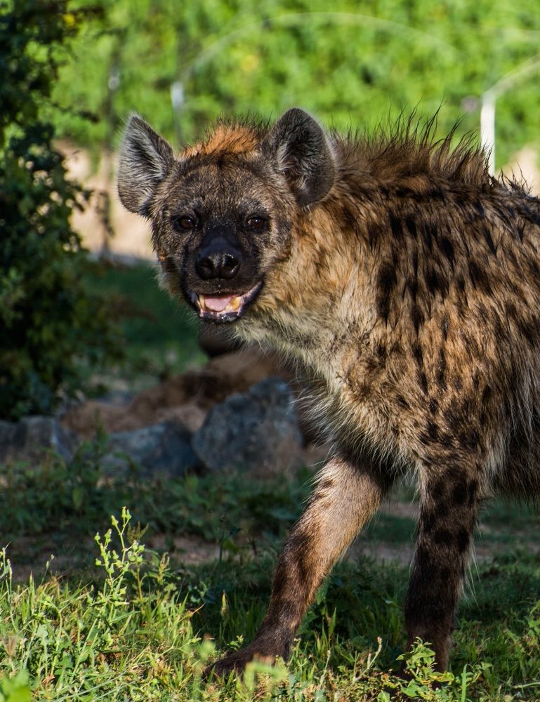 Фотография автора Syeda Fahamida