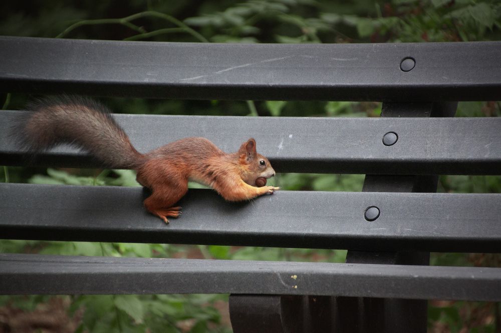 Photograph by Елена Иванова