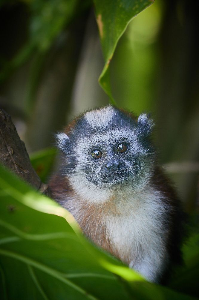 Photograph by Jean Posner