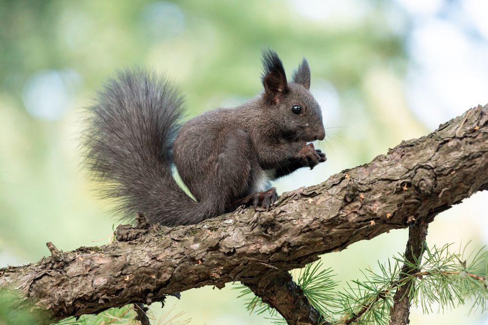 Фотография автора Александр Колдин