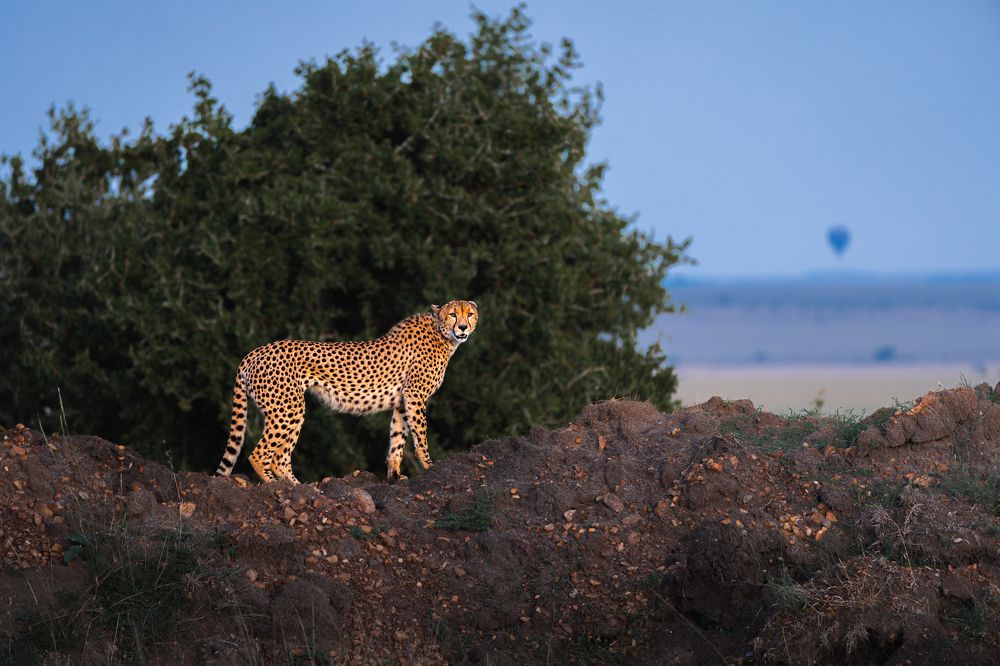 Photograph by Jayakumar MN