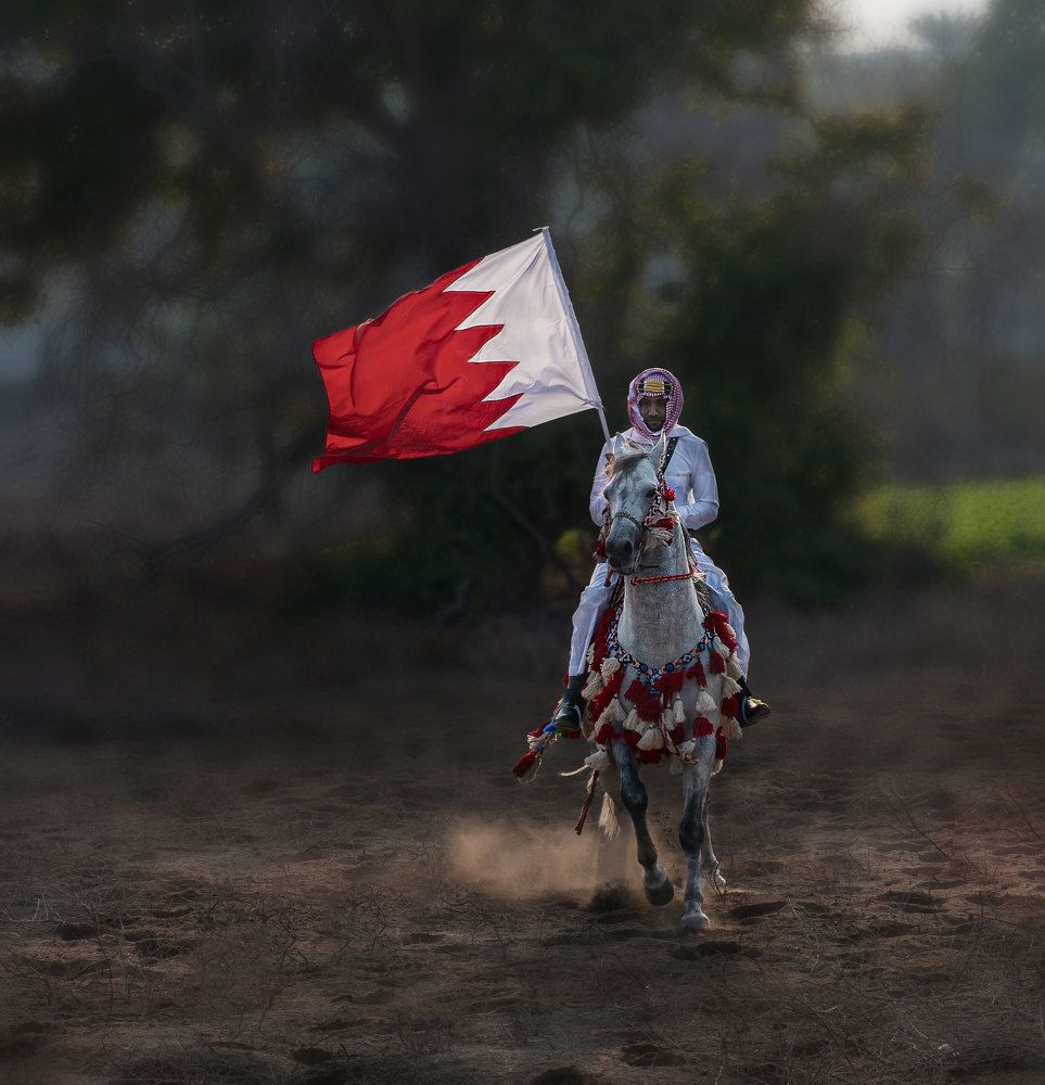 Bahraini Knight of the Age of Science