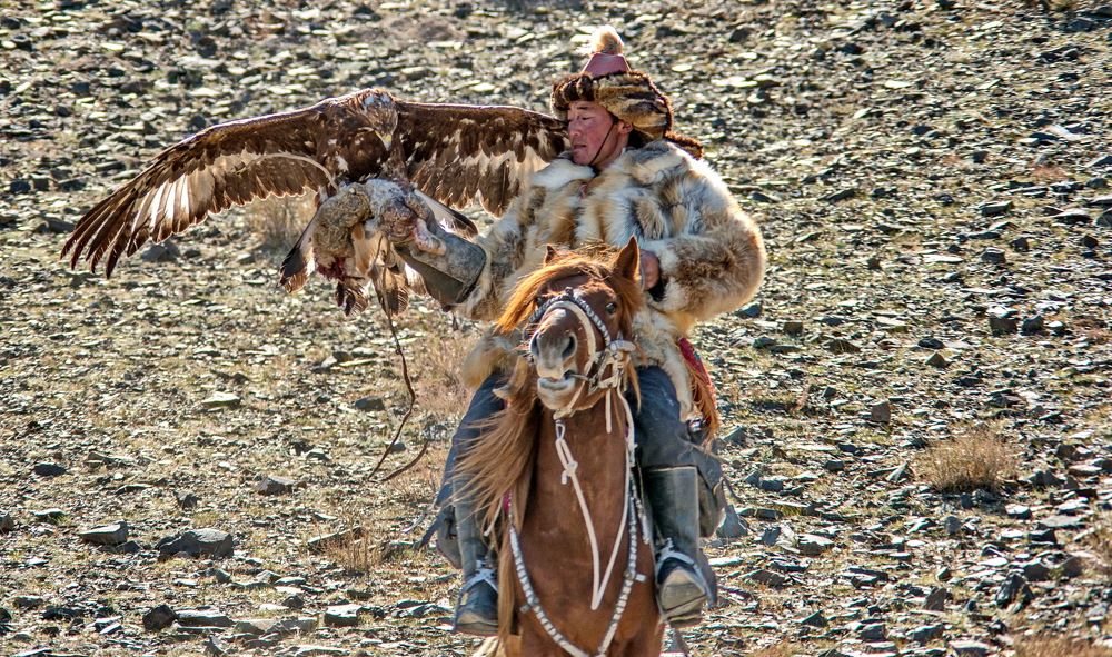 Photograph by Смирнов Валерий