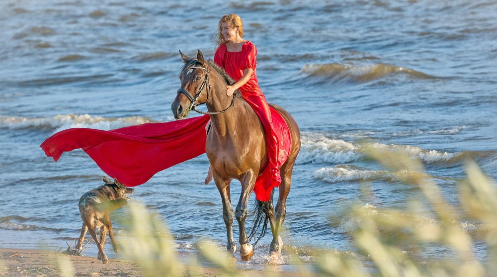 Photograph by Смирнов Валерий