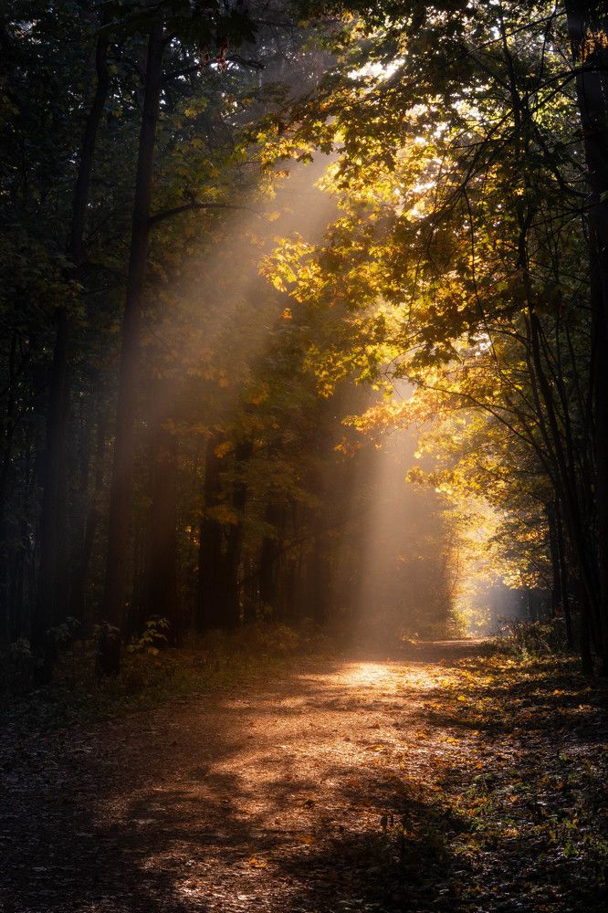 Photograph by Игорь Криулин