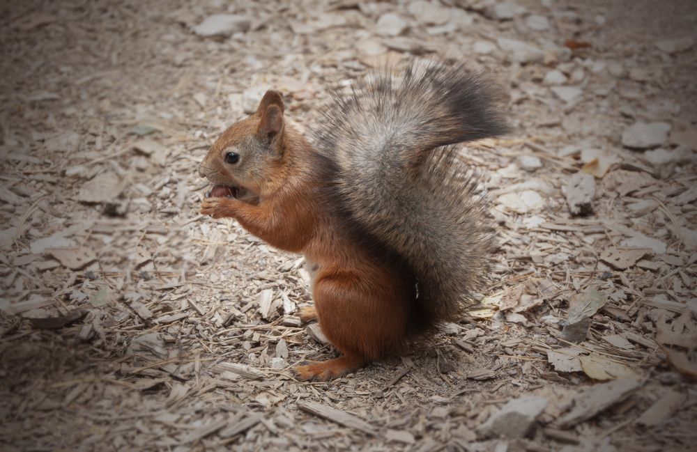 Photograph by Елена Иванова