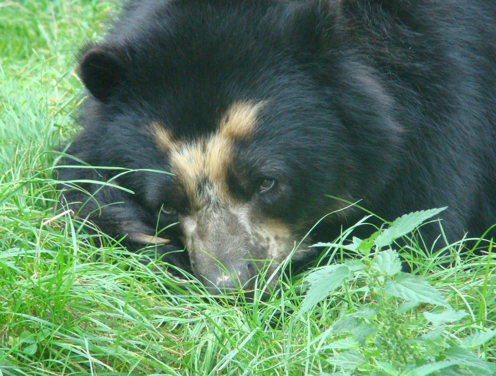 Photograph by Boris Butianov